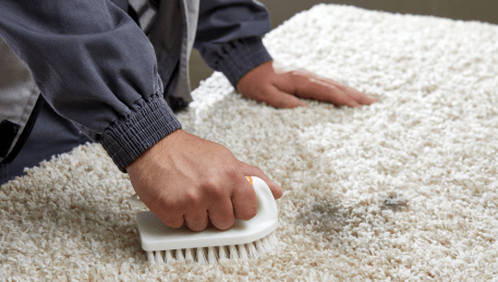 Professional Rug Cleaning Wantirna